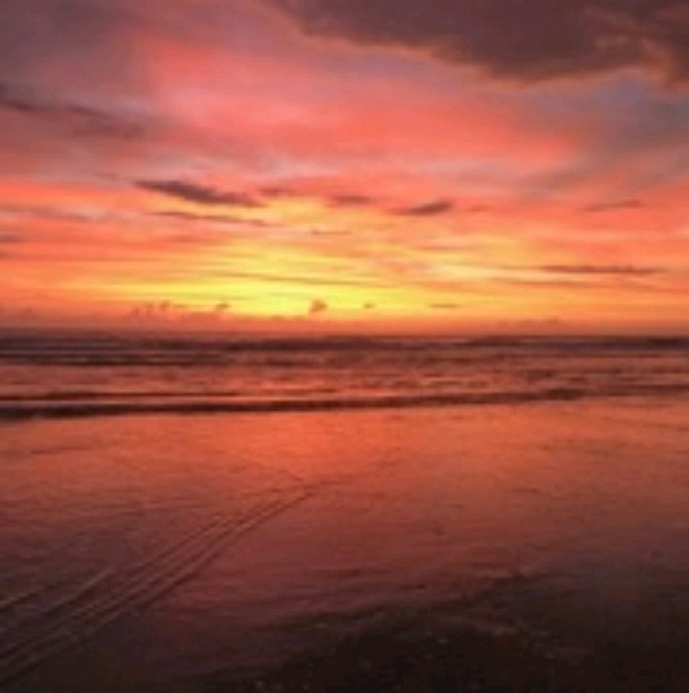 Meet your Posher, Shelley